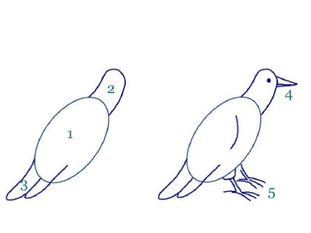 Как нарисовать ворону поэтапно