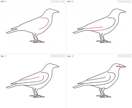 Схема рисования Грача