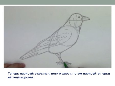 Перелетные птицы из геометрических фигур