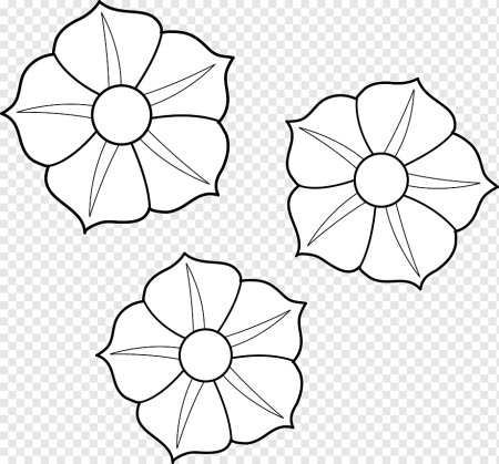 Рисунок петунии карандашом для начинающих