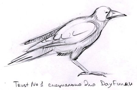 Как нарисовать Салов я