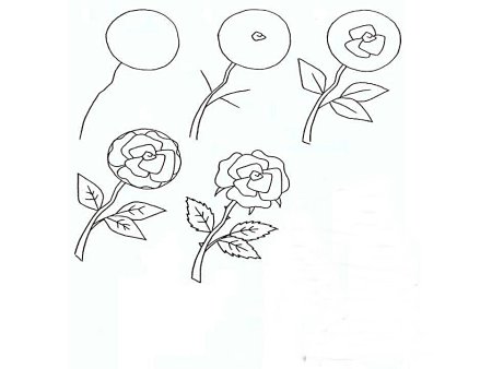 Этапы рисования цветов