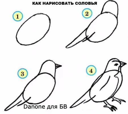 Поэтапное рисование ворона