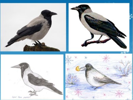 Нарисовать Грача