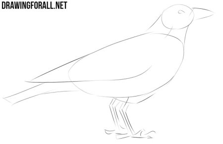 Поэтапное рисование ворона