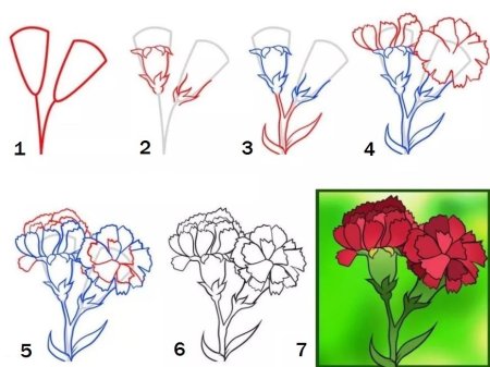Поэтапное рисование цветов в средней группе
