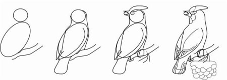 Поэтапное рисование вороны