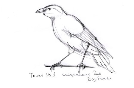 Конструктивное рисование птиц