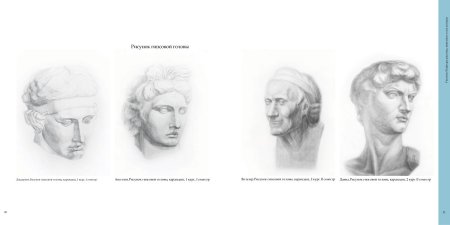 Гипсовая голова рисунок Суриковский институт