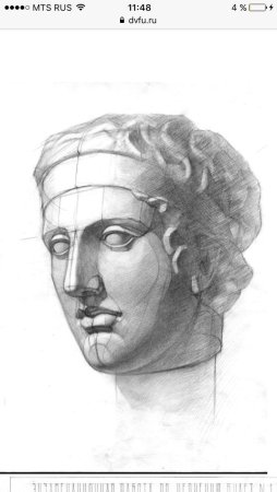 Дорифор гипсовая голова рисунок