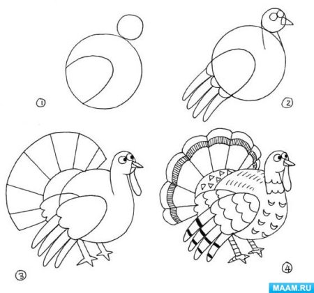 Нарисовать индюка поэтапно для детей