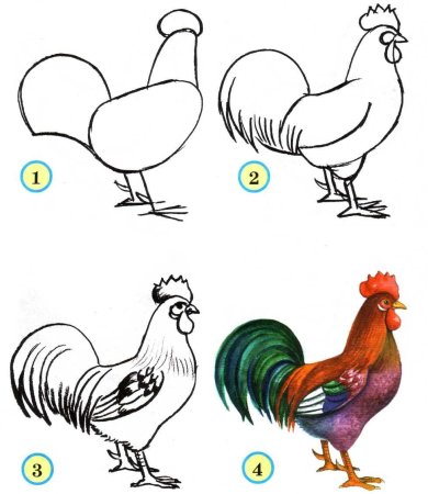 Индюк схема рисования