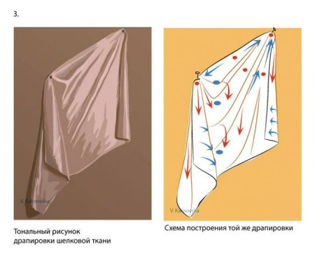 Этапы рисования драпировки