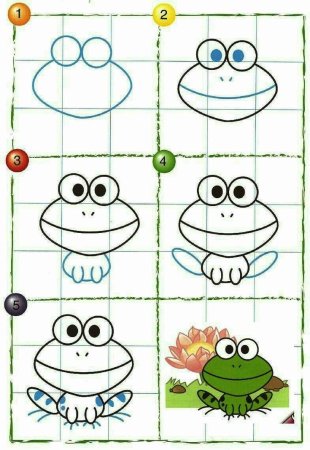 Как нарисовать лягушку поэтапно