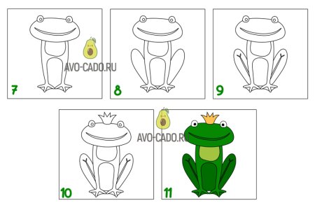 Как нарисовать лягушку поэтапно