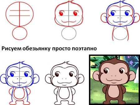 Как рисовать обезьяну