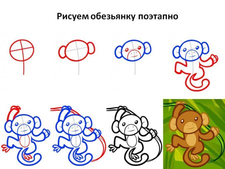 Поэтапное рисование обезьянки