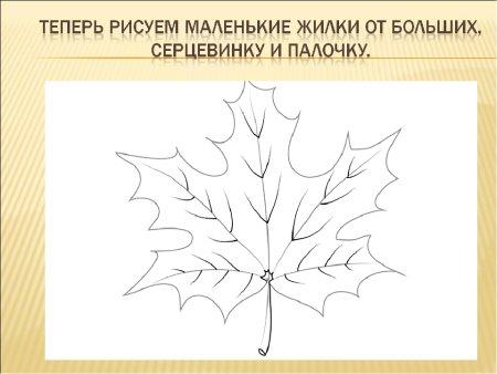 Презентация рисование кленового листа