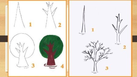 Этапы рисования дерева