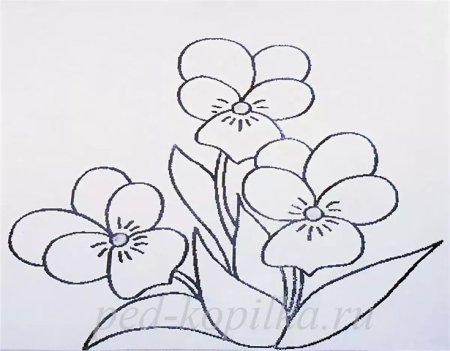 Фиалка рисунок легкий