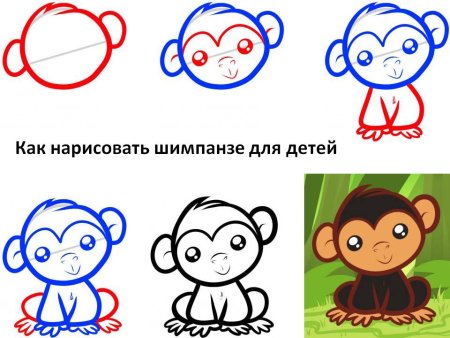 Как нарисовать обезьянку для детей