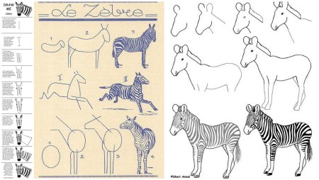 Пошагово нарисовать зебру