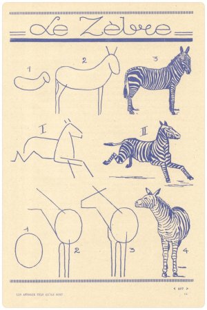 Поэтапное рисование зебры