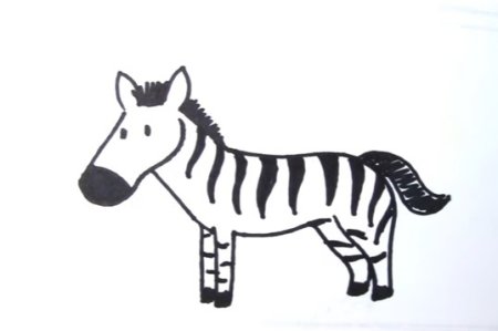 Нарисовать зебру легко
