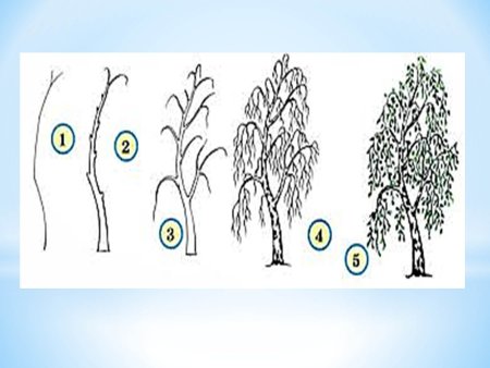 Урок рисования листья деревьев