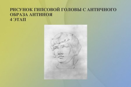 Рисунок гипсового слепка античной головы МАРХИ
