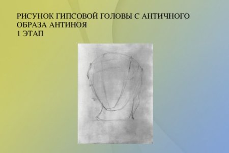 Рисунок гипсовой головы Антиноя в Штиглица