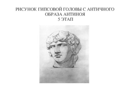 Аполлон построение гипсовой головы пропорции
