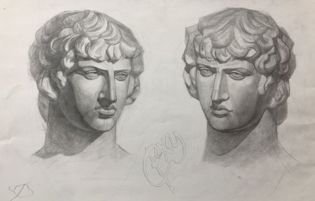 Антиной в профиль Академический рисунок