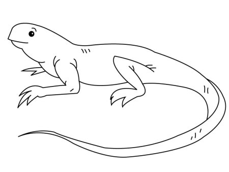 Ящерица АРИСУНОК лёгкий