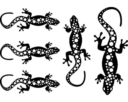 Ящерица раскраска
