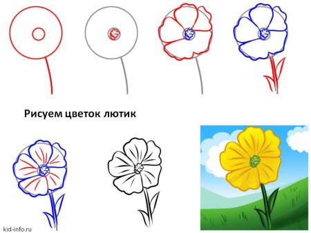Поэтапное рисование цветов