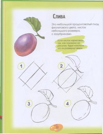 Ветка для рисования