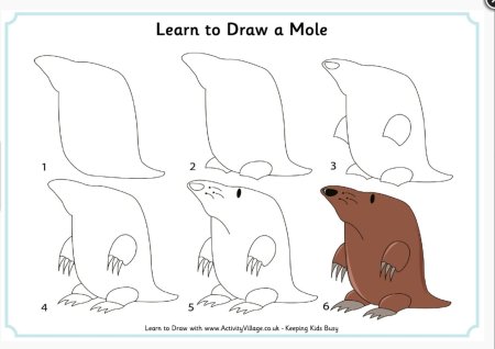 Поэтапное рисование крота для детей