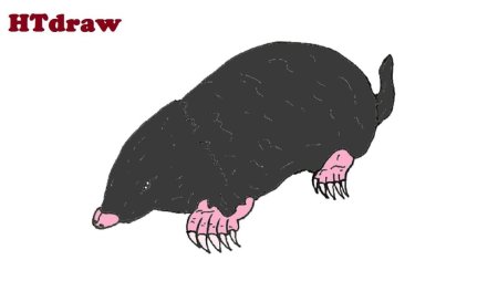 Схема рисования зайца в средней группе