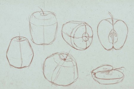 Этапы рисования натюрморта