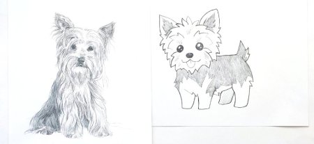 Йоркширский терьер рисунок для детей поэтапно