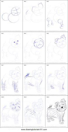 Йоркширский терьер рисунок поэтапно