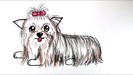 Карандашный рисунок Йорка