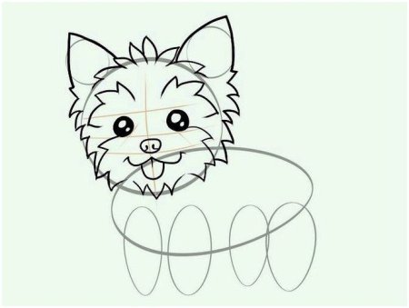 Йоркширский терьер нарисовать карандашом ребенку поэтапно