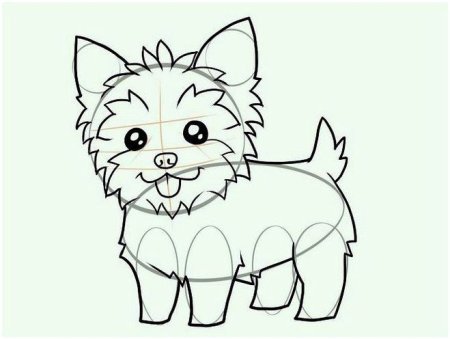 Поэтапное рисование йоркширского терьера