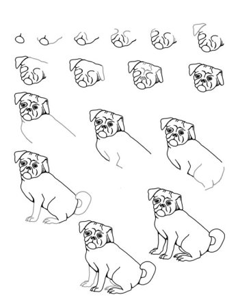 Рисование МОПСА пошагово