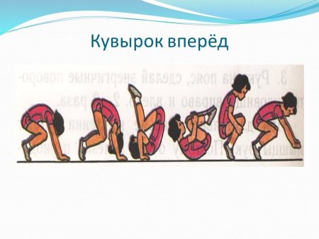 Техника кувырка вперед и назад