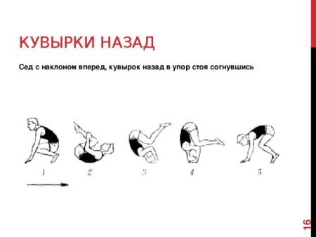 Техника кувырка назад кратко
