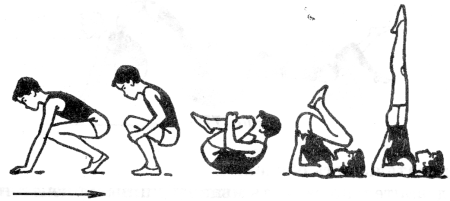 Стойка на лопатках гимнастика