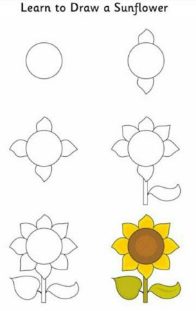 Подсолнух схема рисования